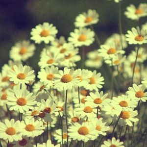 Meet your Posher, Mariela